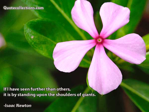 Isaac Newton Quotes3